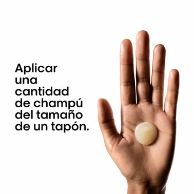 Champú Absolut Repair Recarga - L' Oreal Professionnel