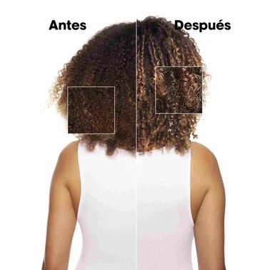 Champú Absolut Repair Recarga - L' Oreal Professionnel