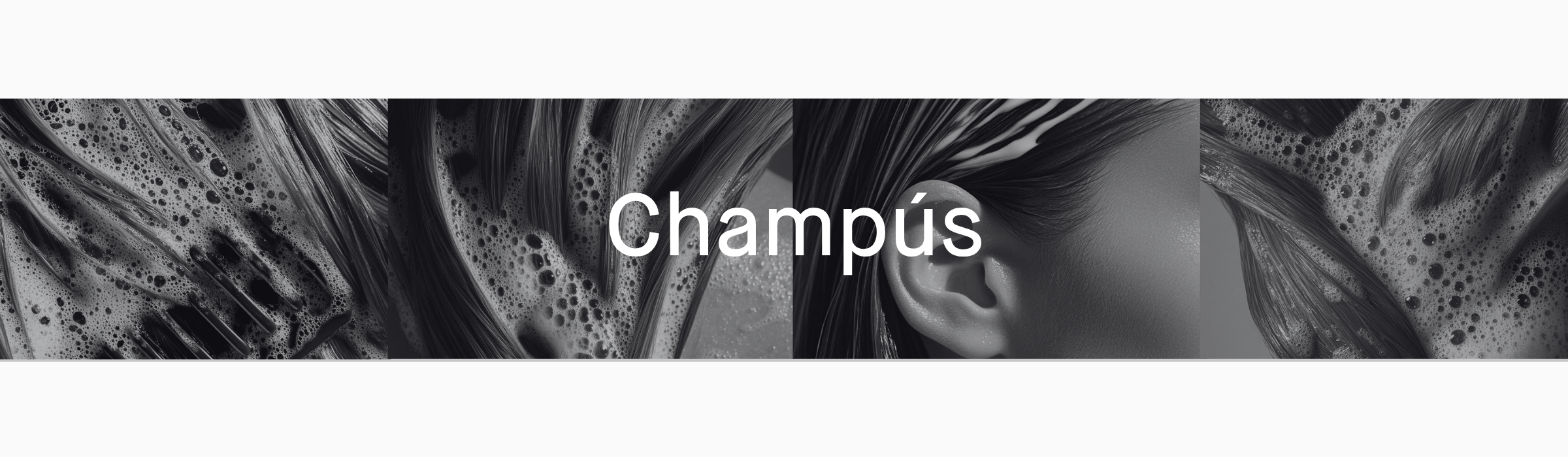Champús