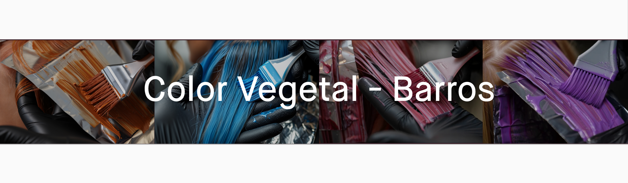 Color Vegetal Barros