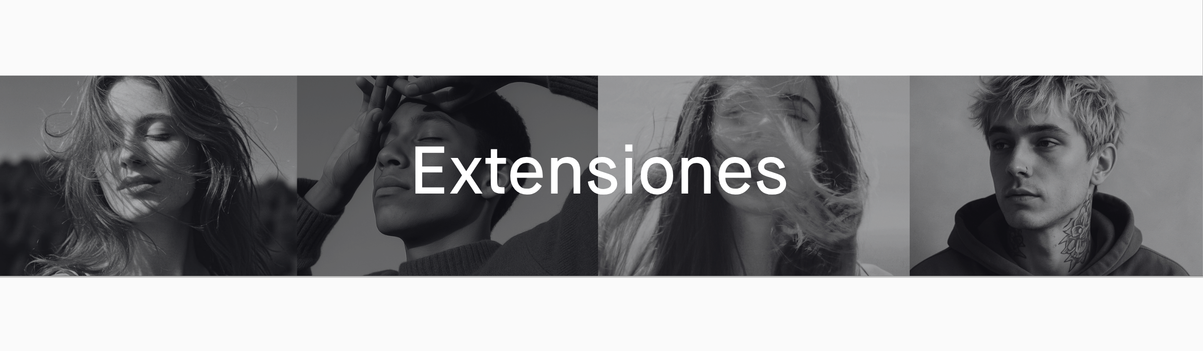 Extensiones