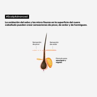 Champú Anti-Malestar Scalp Advanced - L' Oreal Professionnel