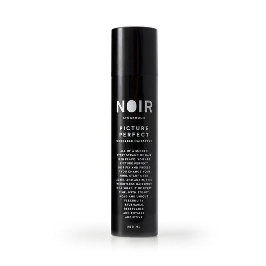 Picture Perfect Finishing Spray - NOIR